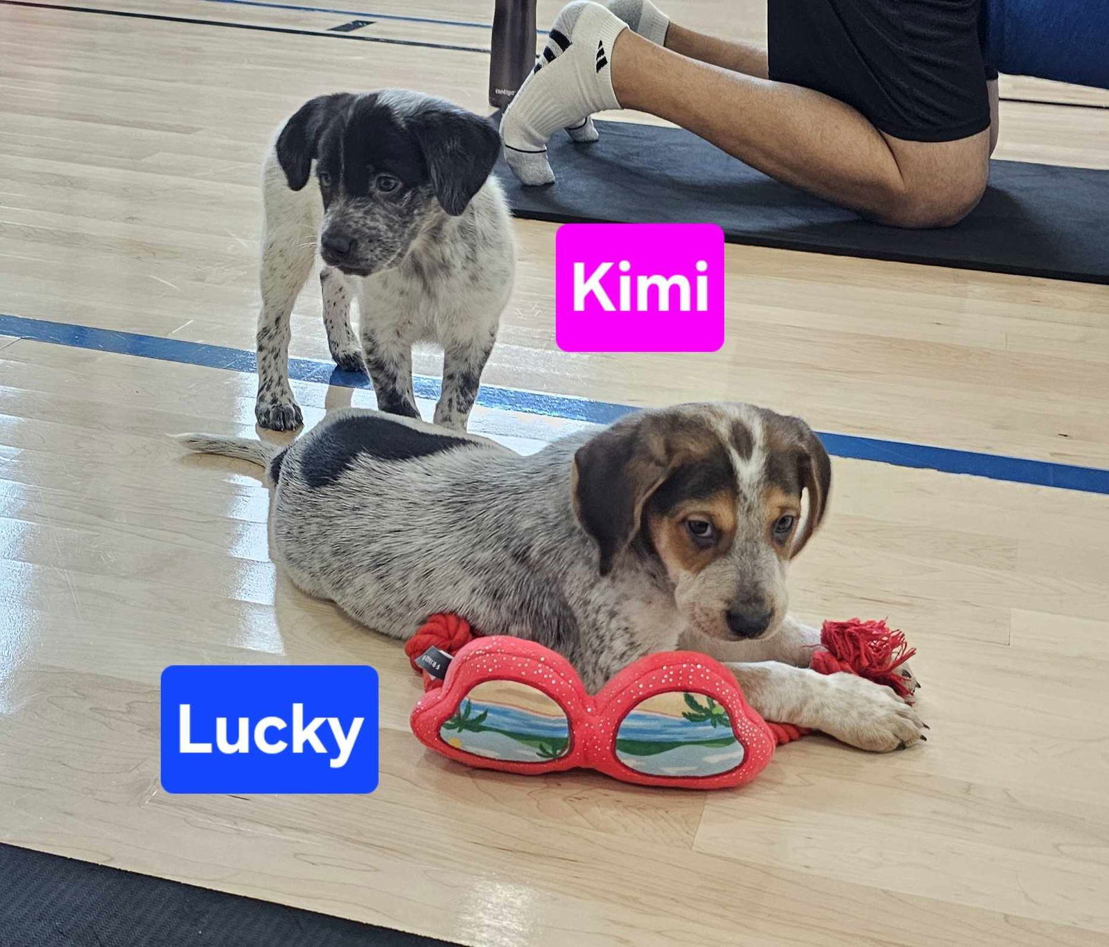 Lucky