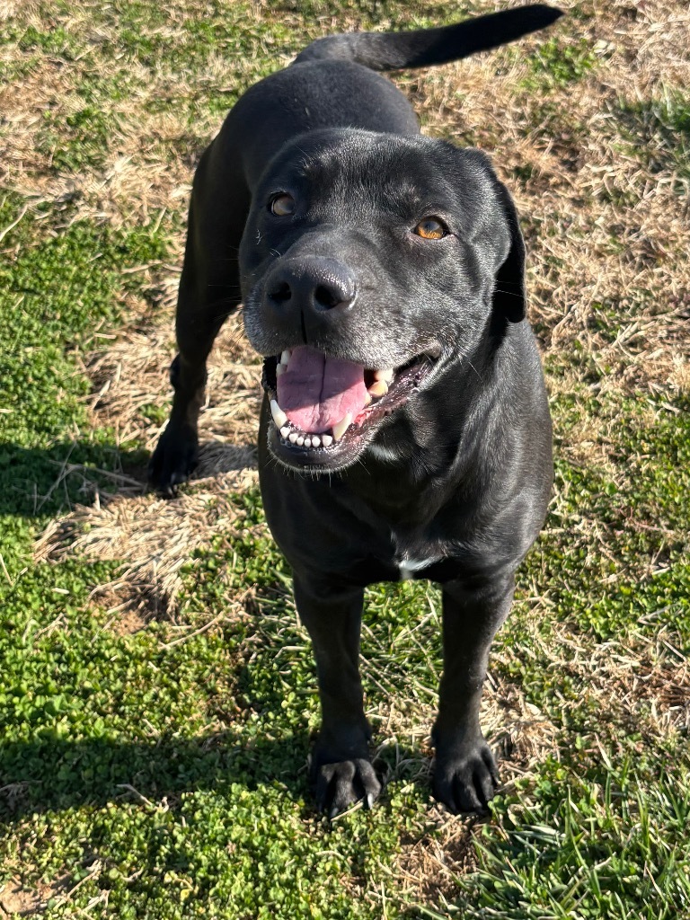 Roxy