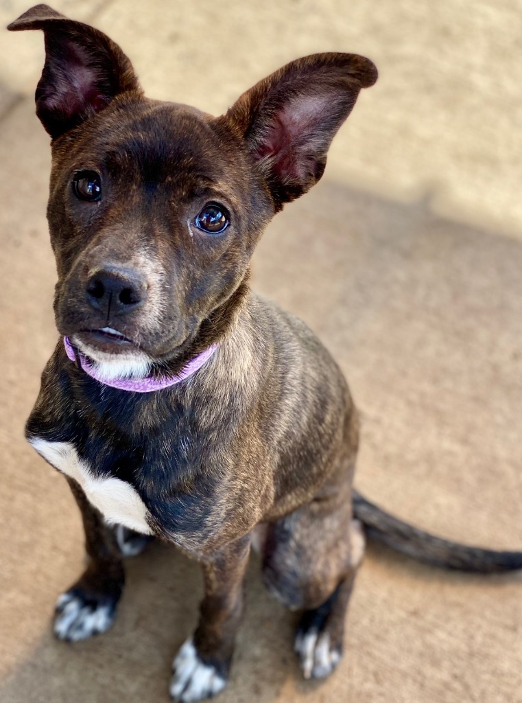Nora