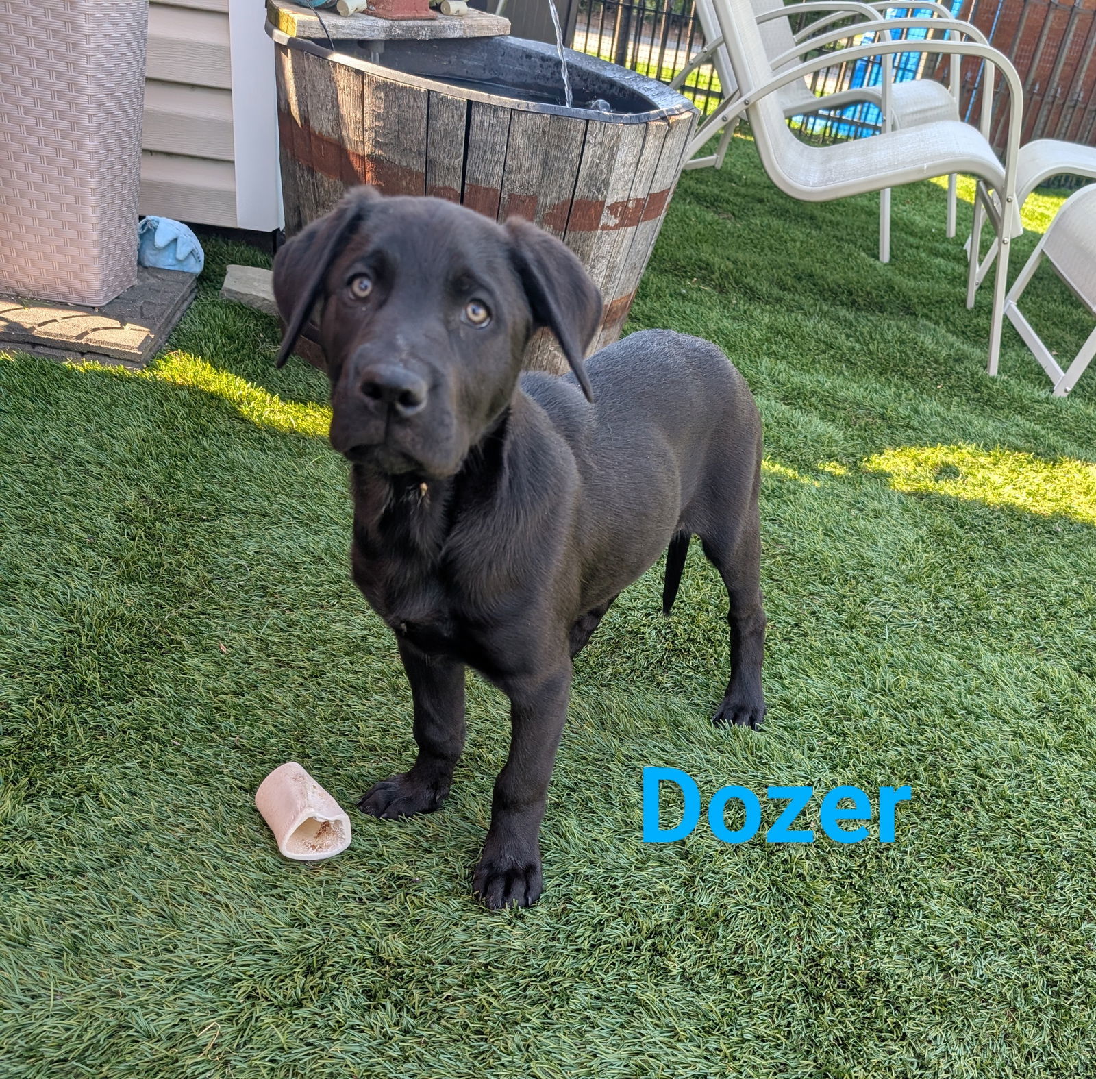 Dozer