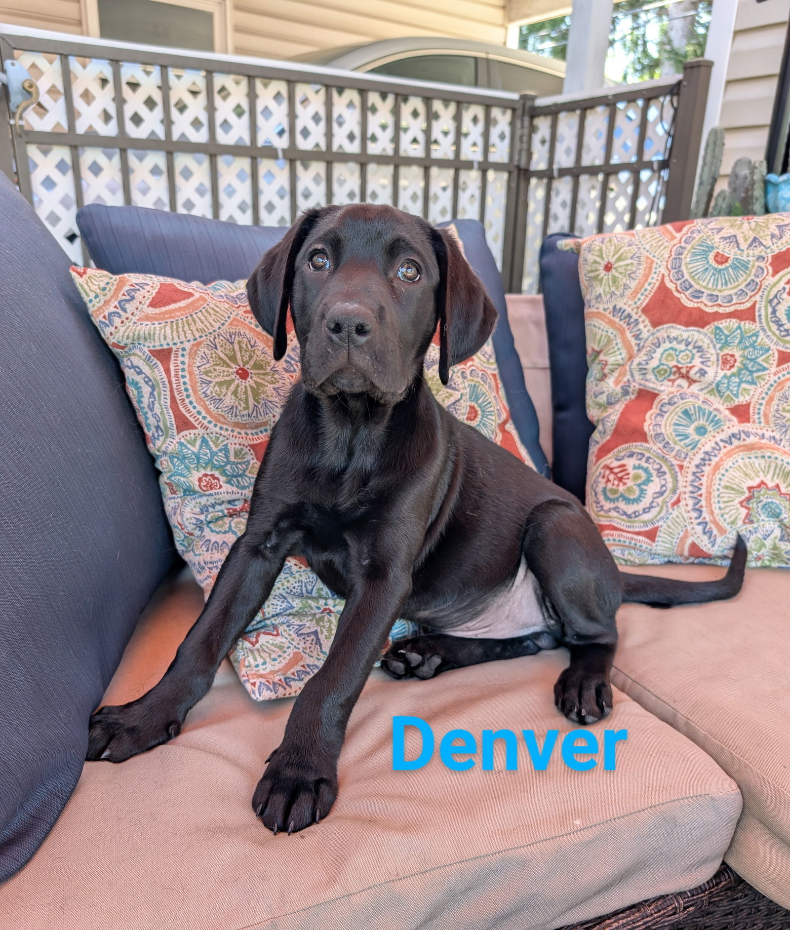 Denver