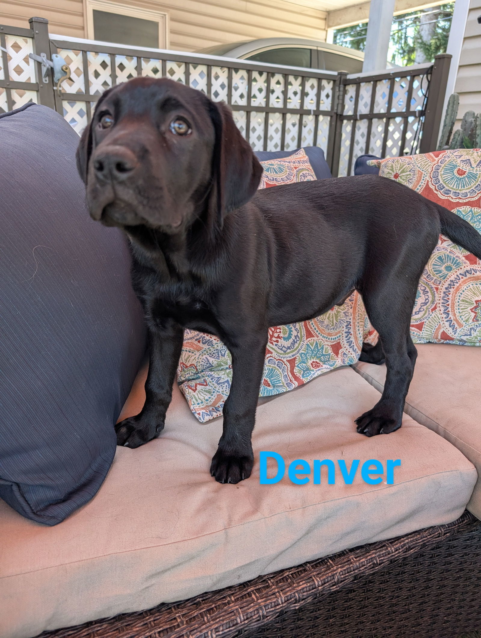 Denver
