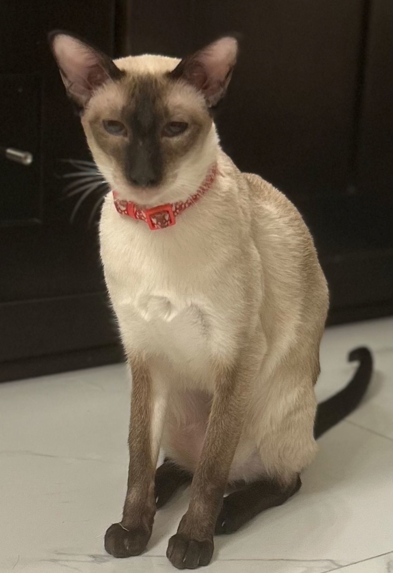Mu-Lan (Bonded with Li-Shang)