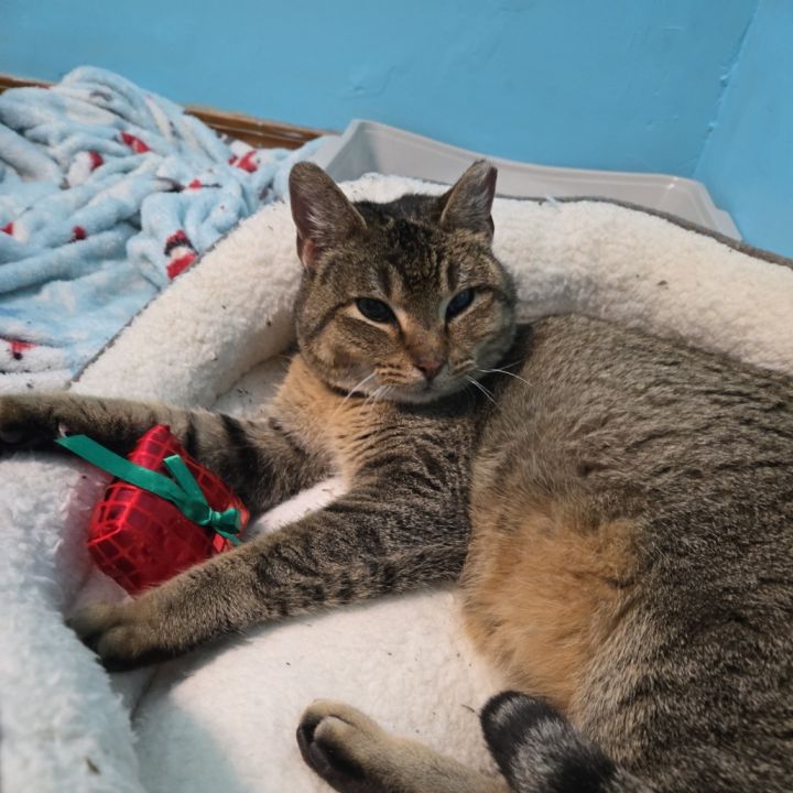 Delilah 2