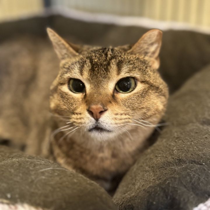 Delilah 3