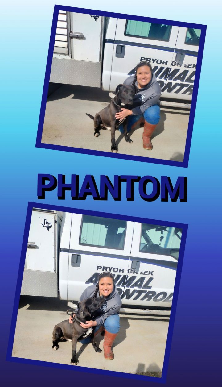 Phantom # 9994 1