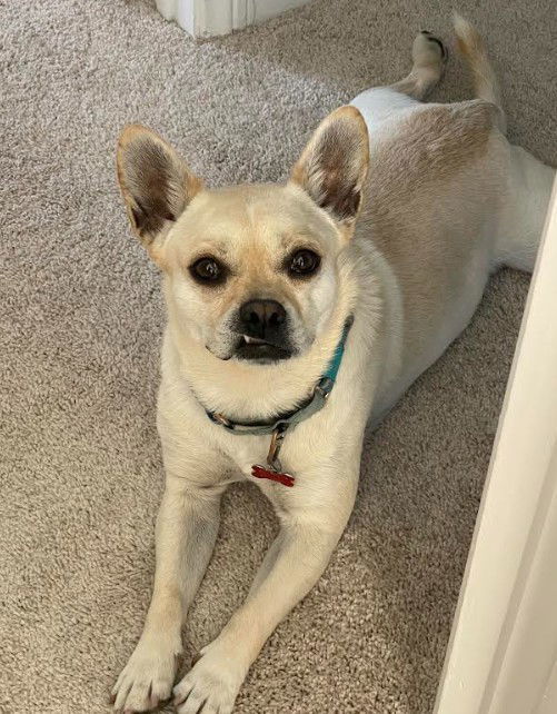 Mochi 1