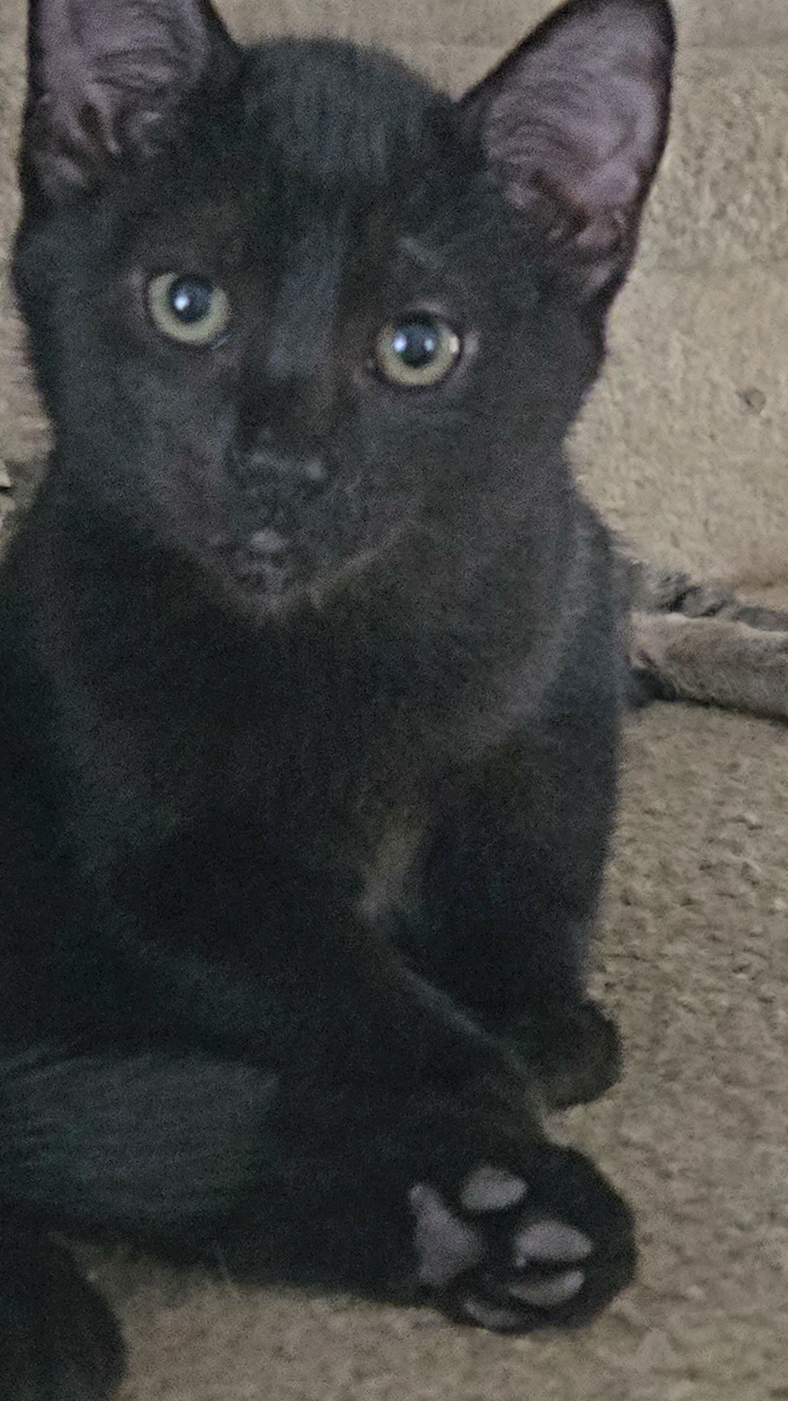 Duncan