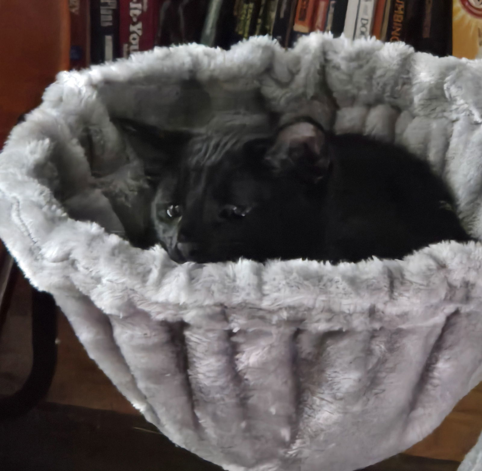 Duncan