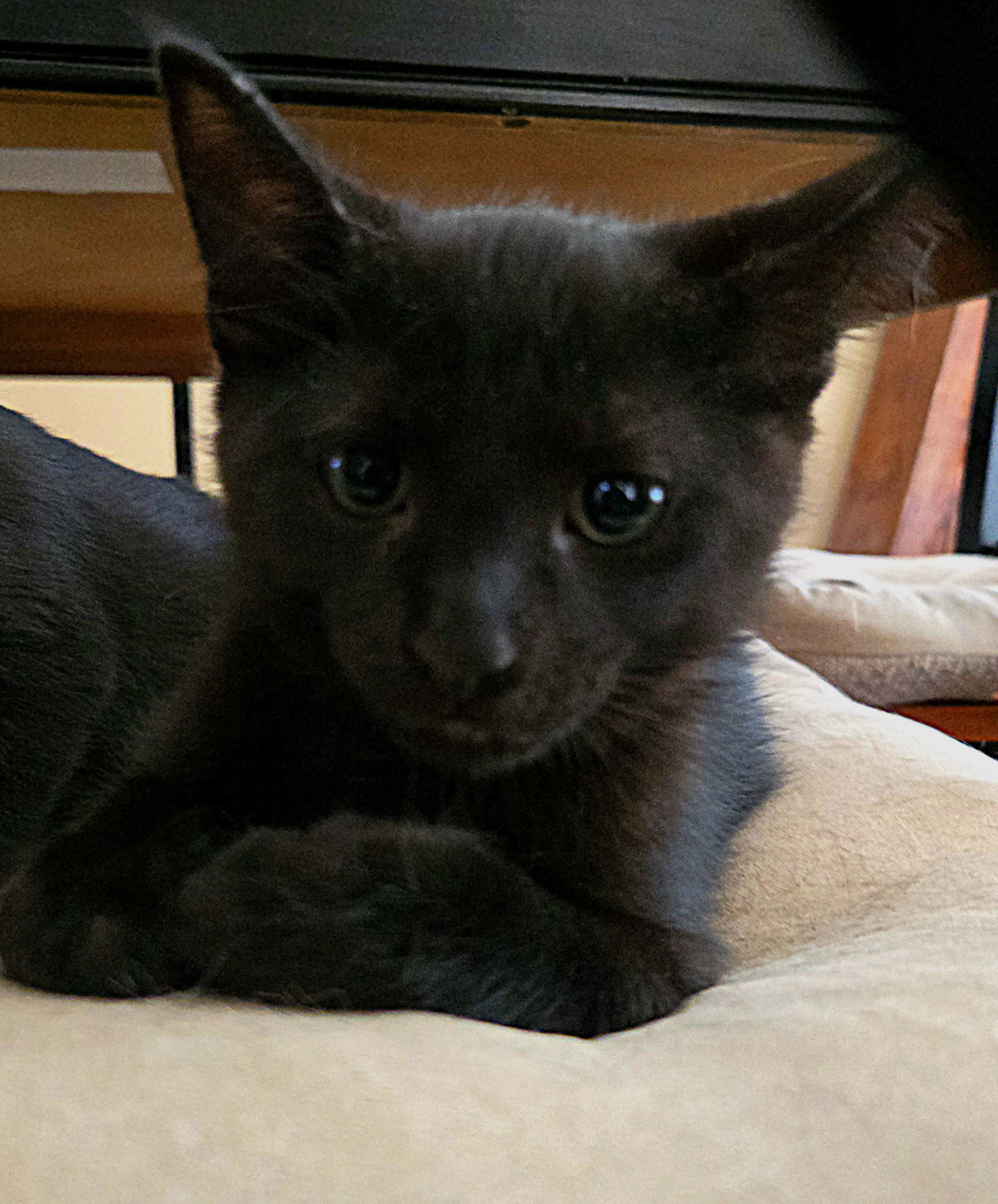 Duncan