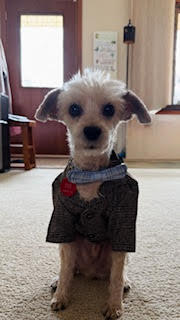 Brody D6059 - ADOPTION BEING FINALIZED