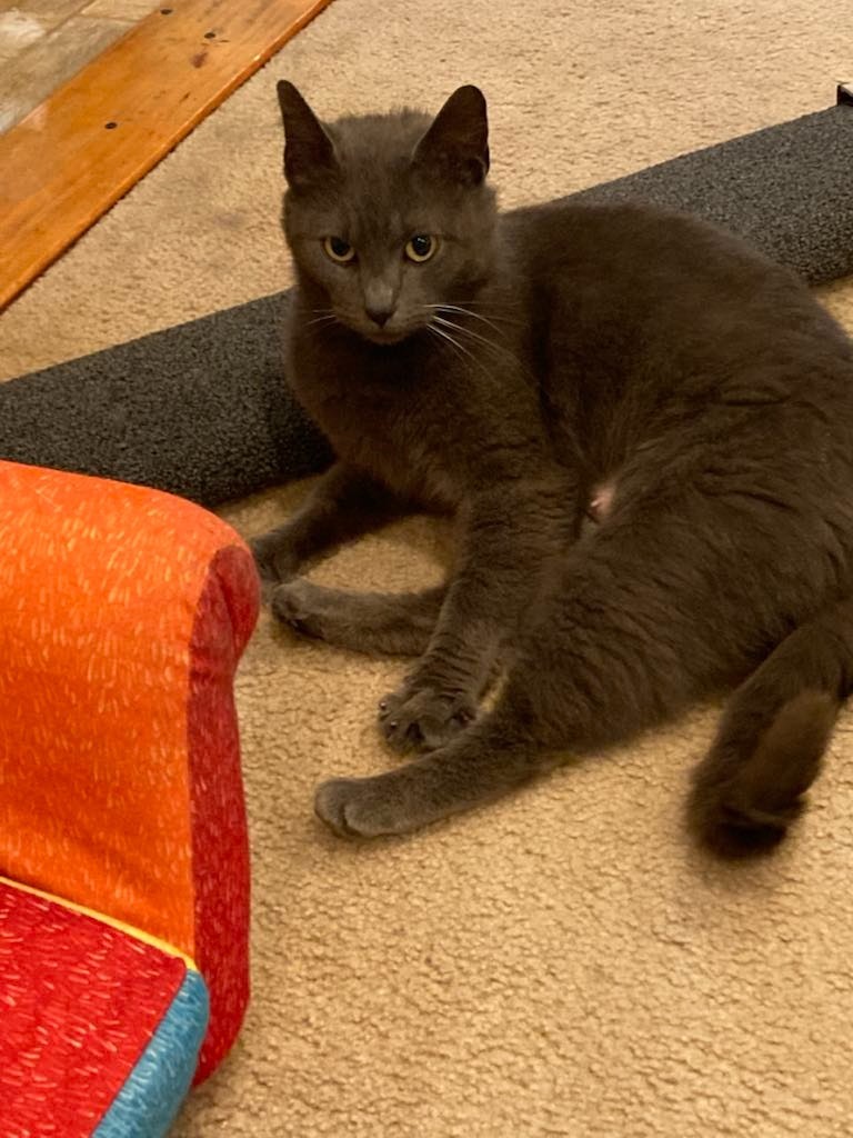 Smokie