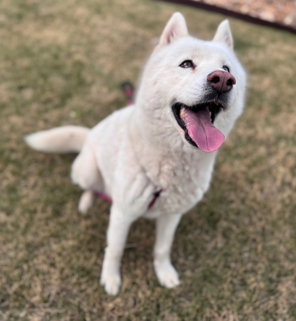 Zeus