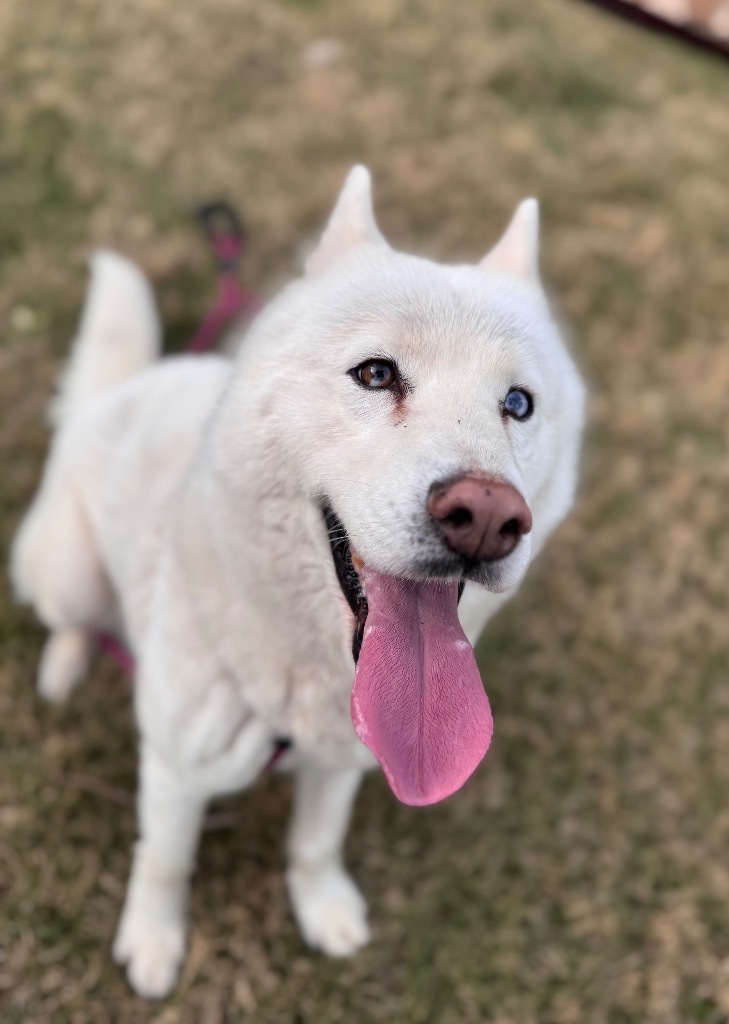 Zeus