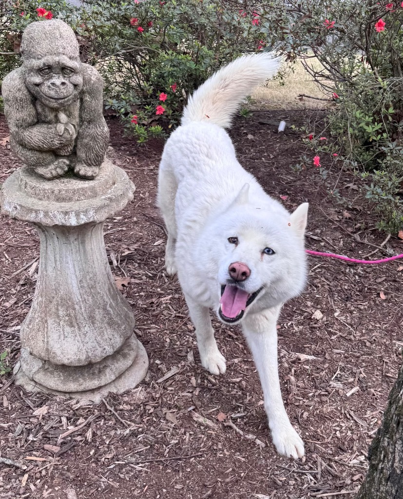 Zeus
