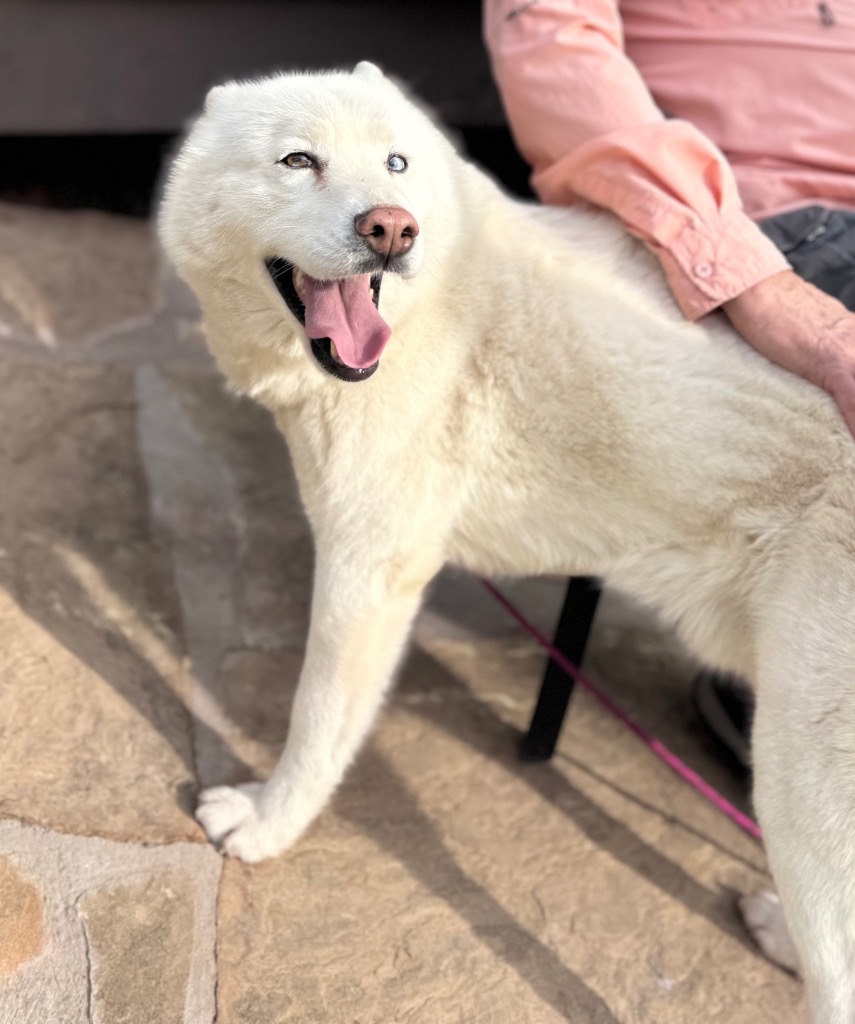 Zeus