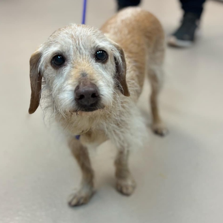 Danny (In Foster)