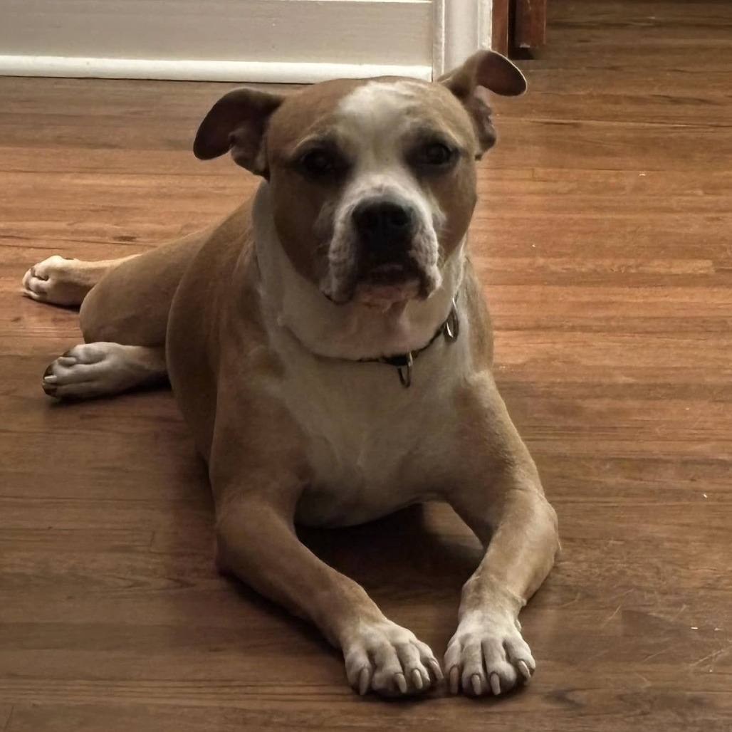 Roux