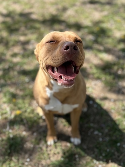 Luna