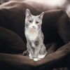 Binx