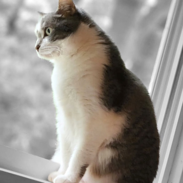 Arlo