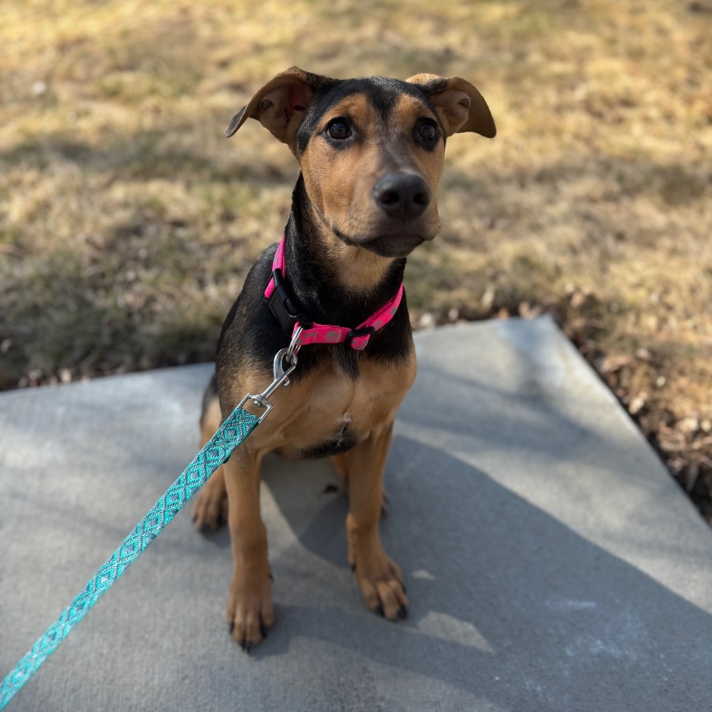 Finnleigh