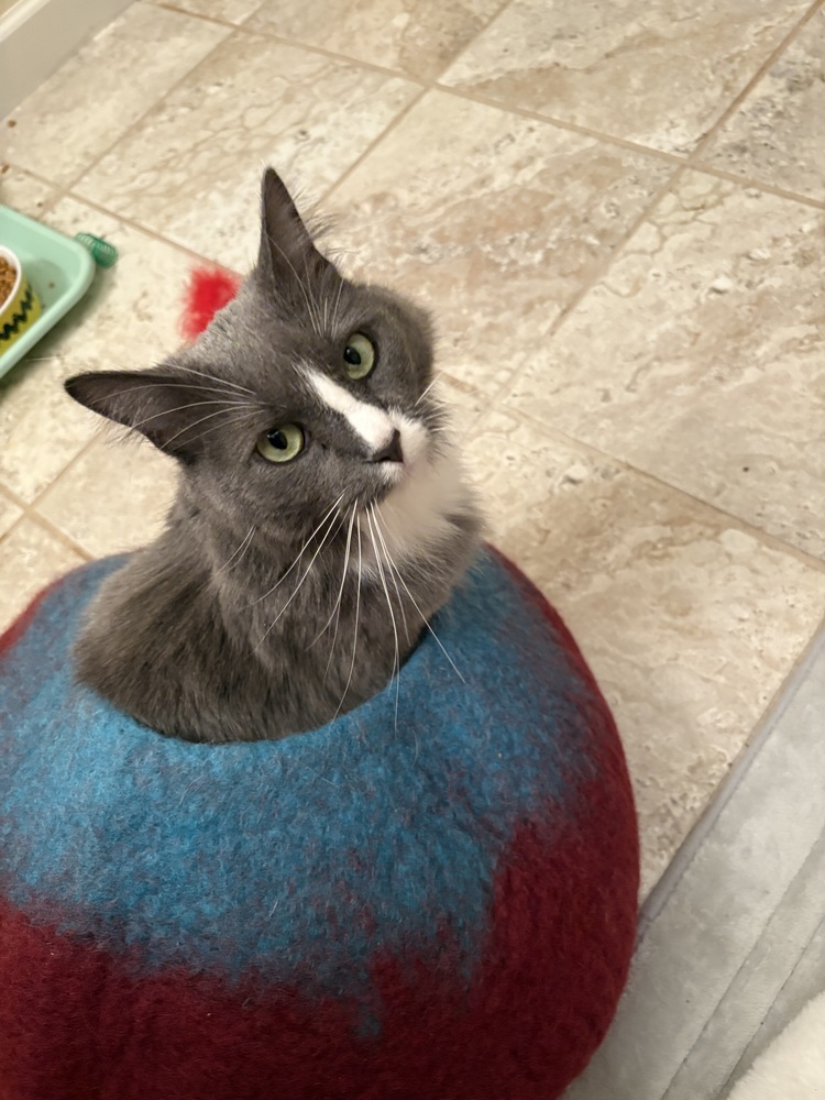 Luna