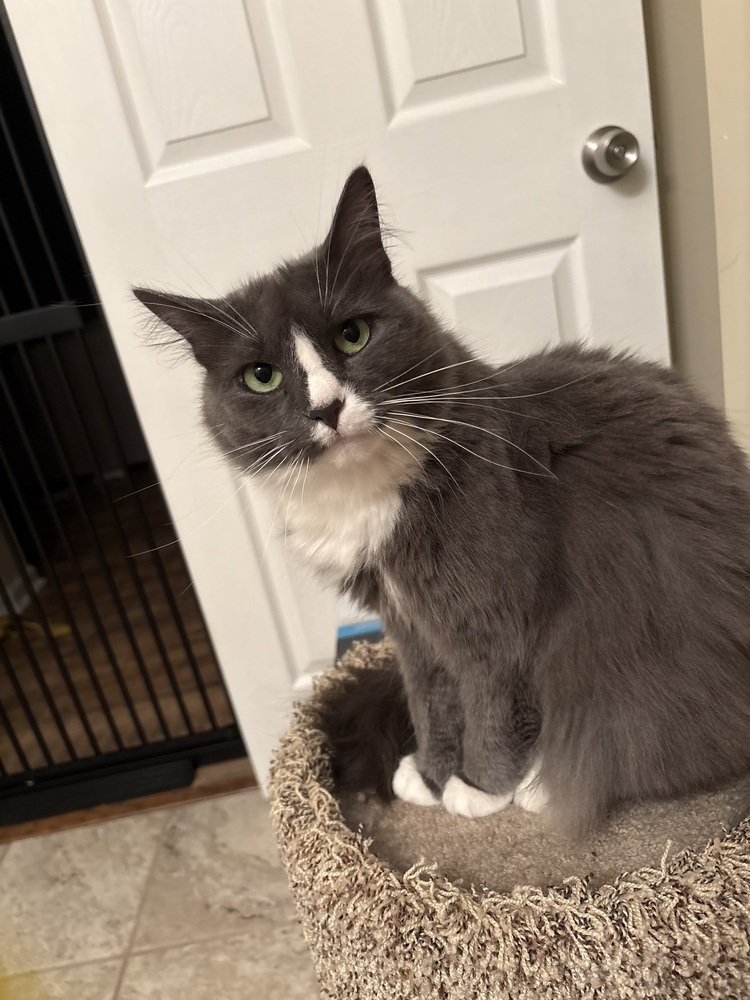 Luna