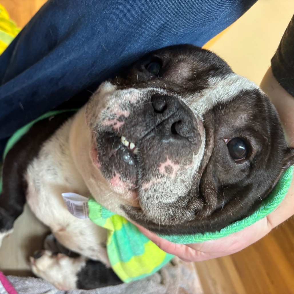 Winston