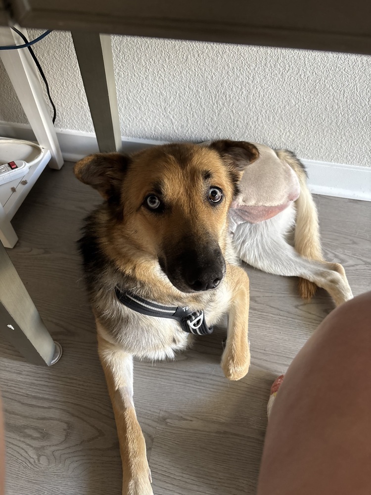 Mia