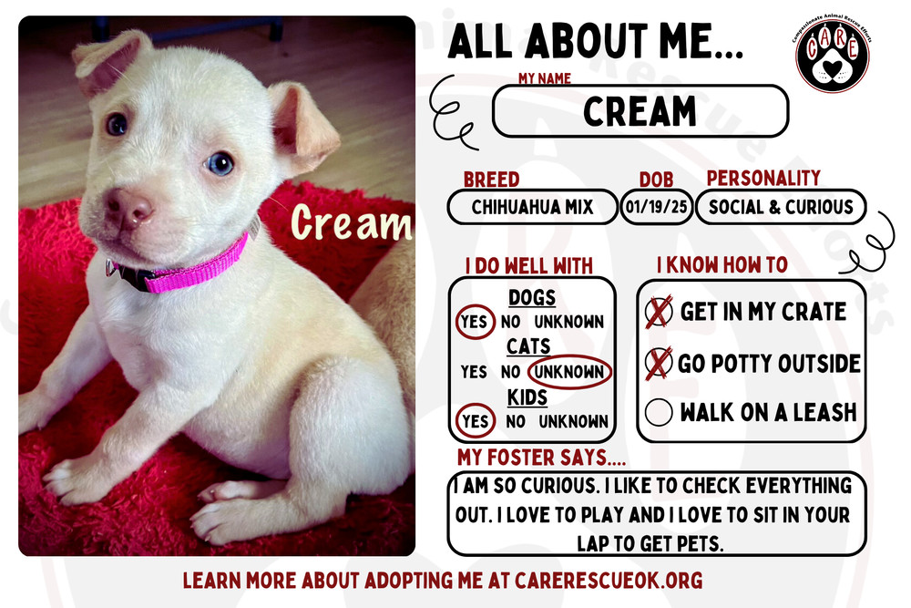 Cream