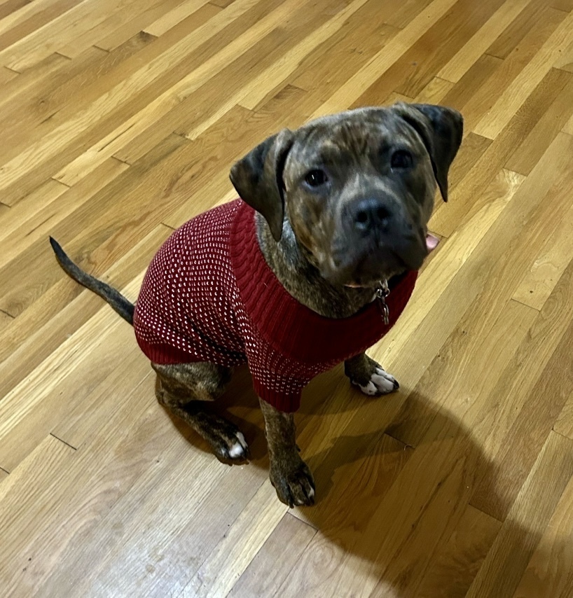 Nova