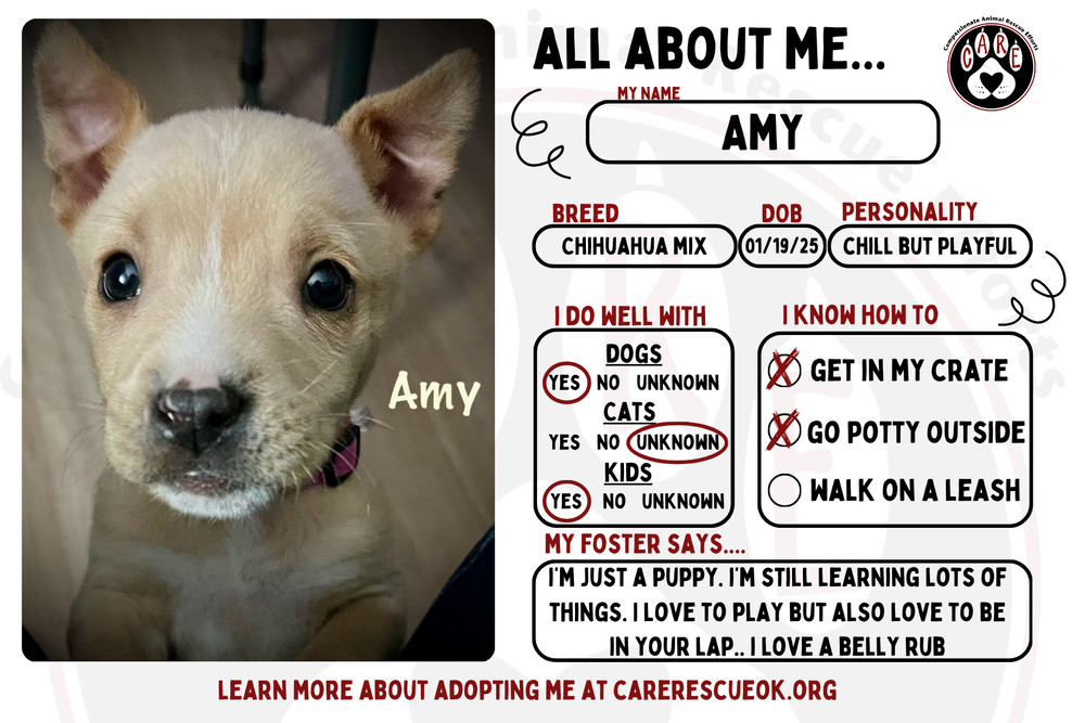 Amy