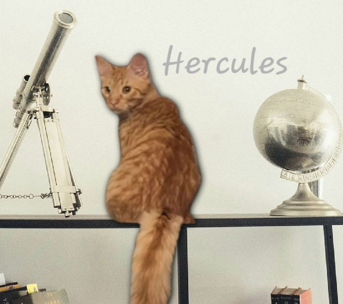 Hercules #strong-man?