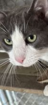 Timmy photo 1