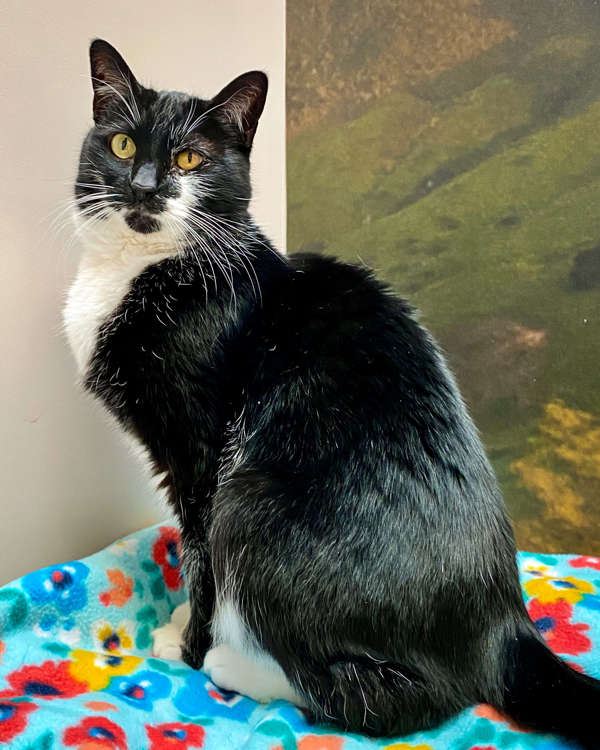 Binx Marie
