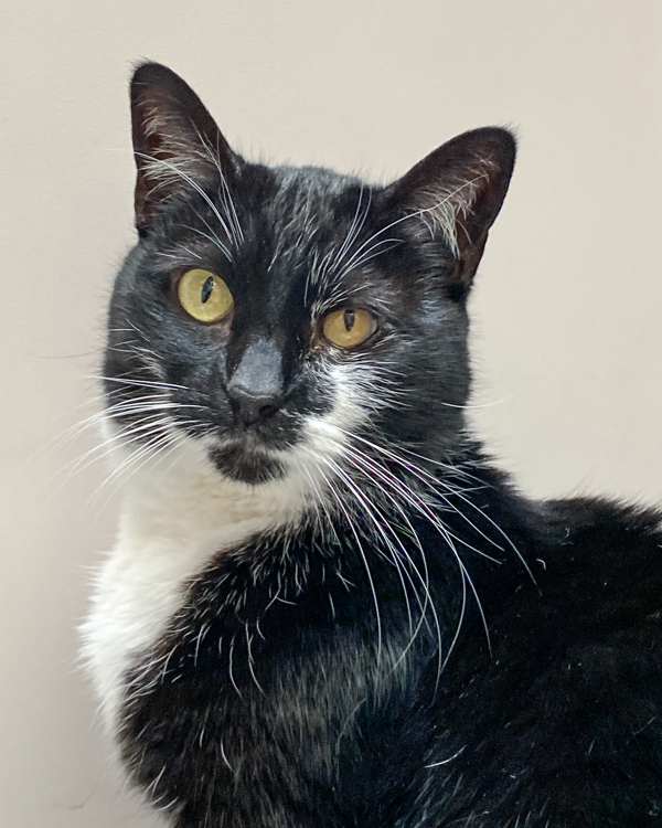 Binx Marie