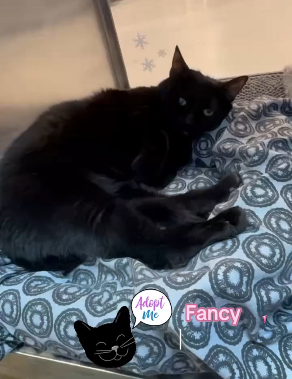 Fancy