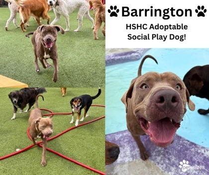 Barrington
