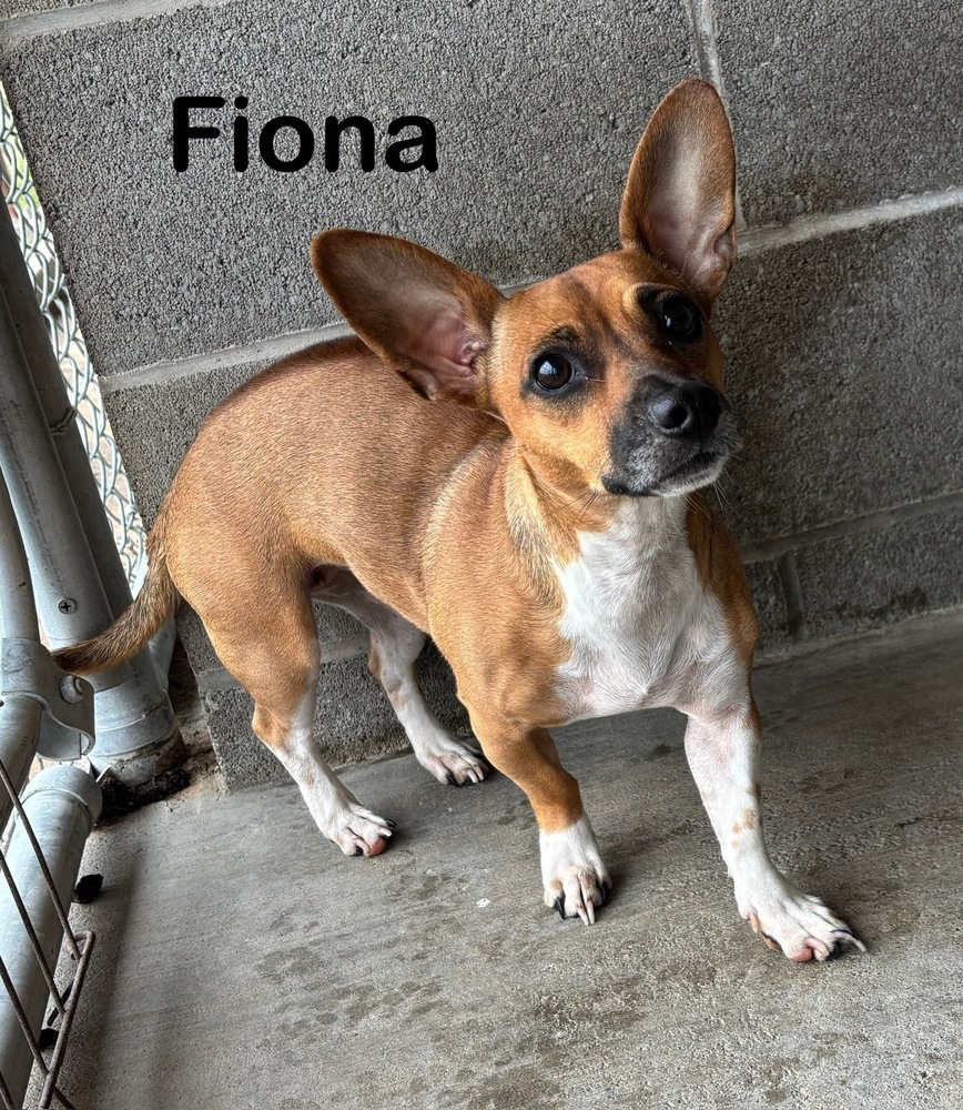 Fiona