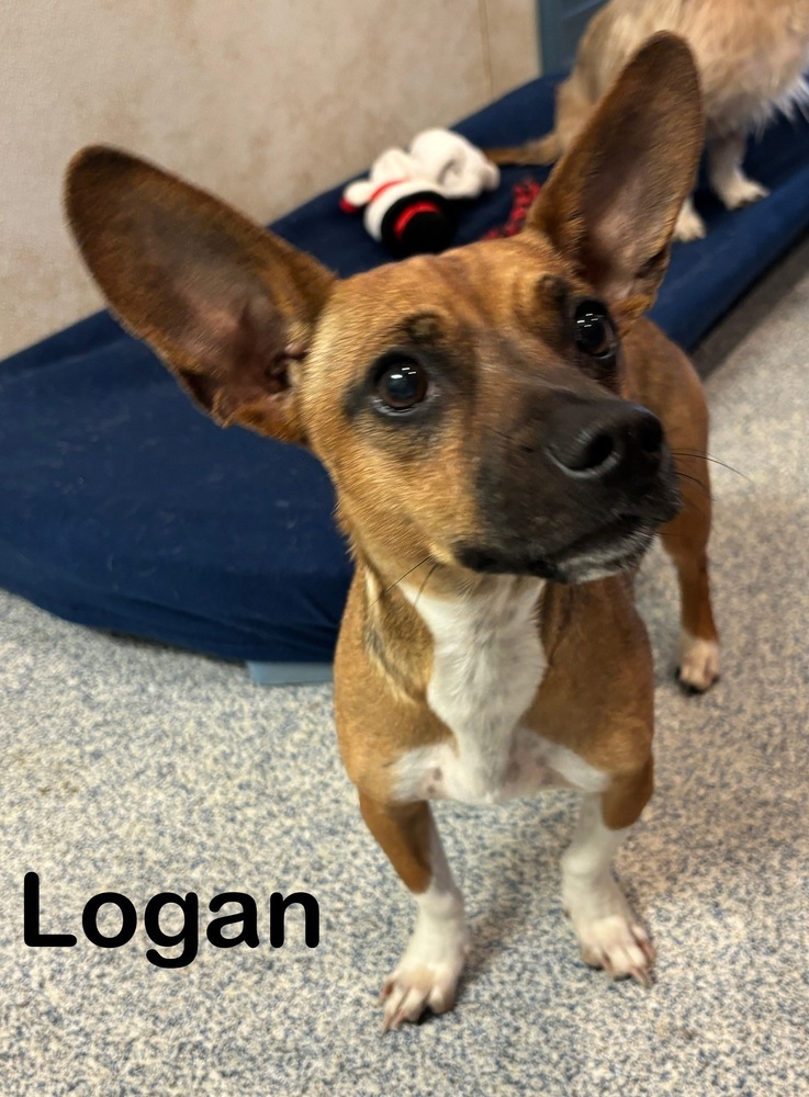 Logan