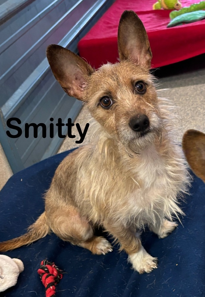 Smitty