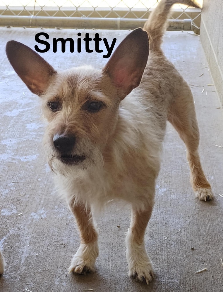 Smitty