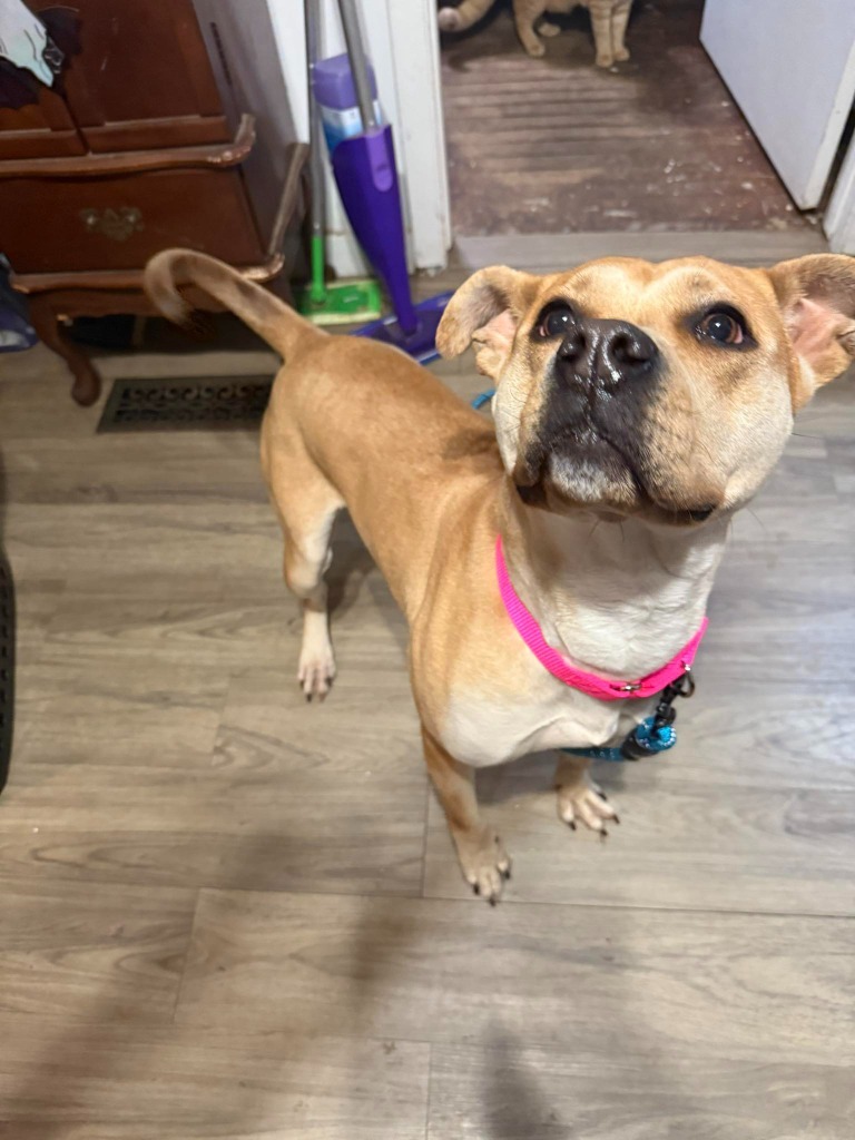 Eloise
