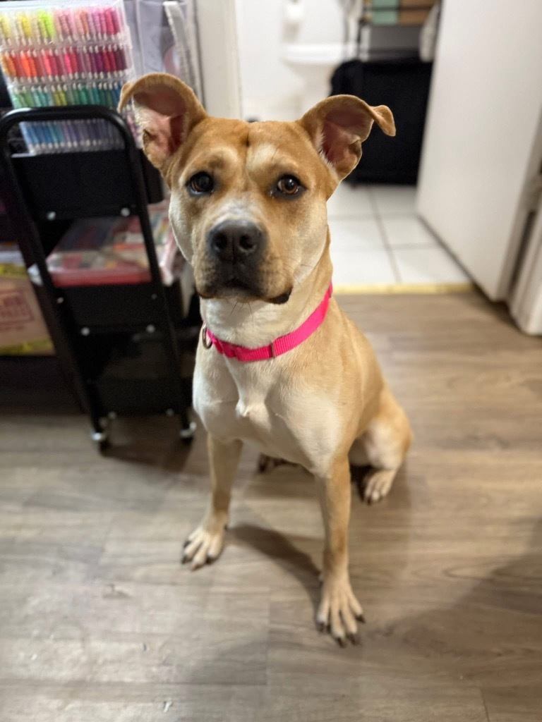 Eloise