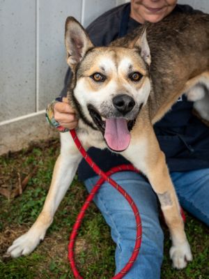 Lanko is a love Were not kidding when we say this boy just loves everybody When volunteers took 