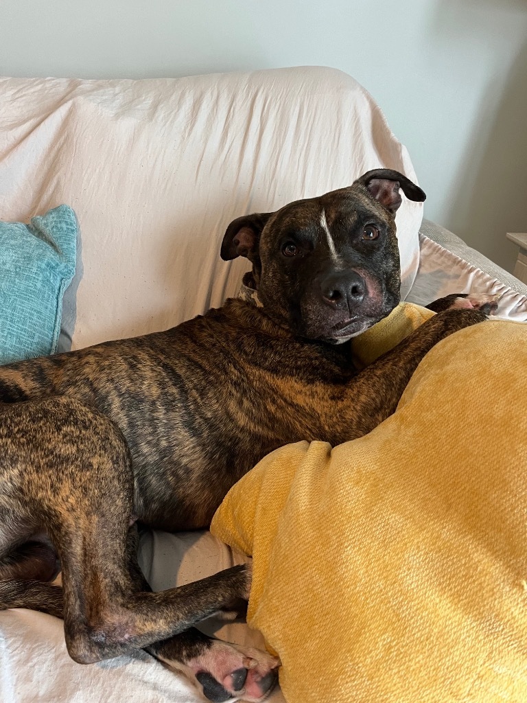 Zeus