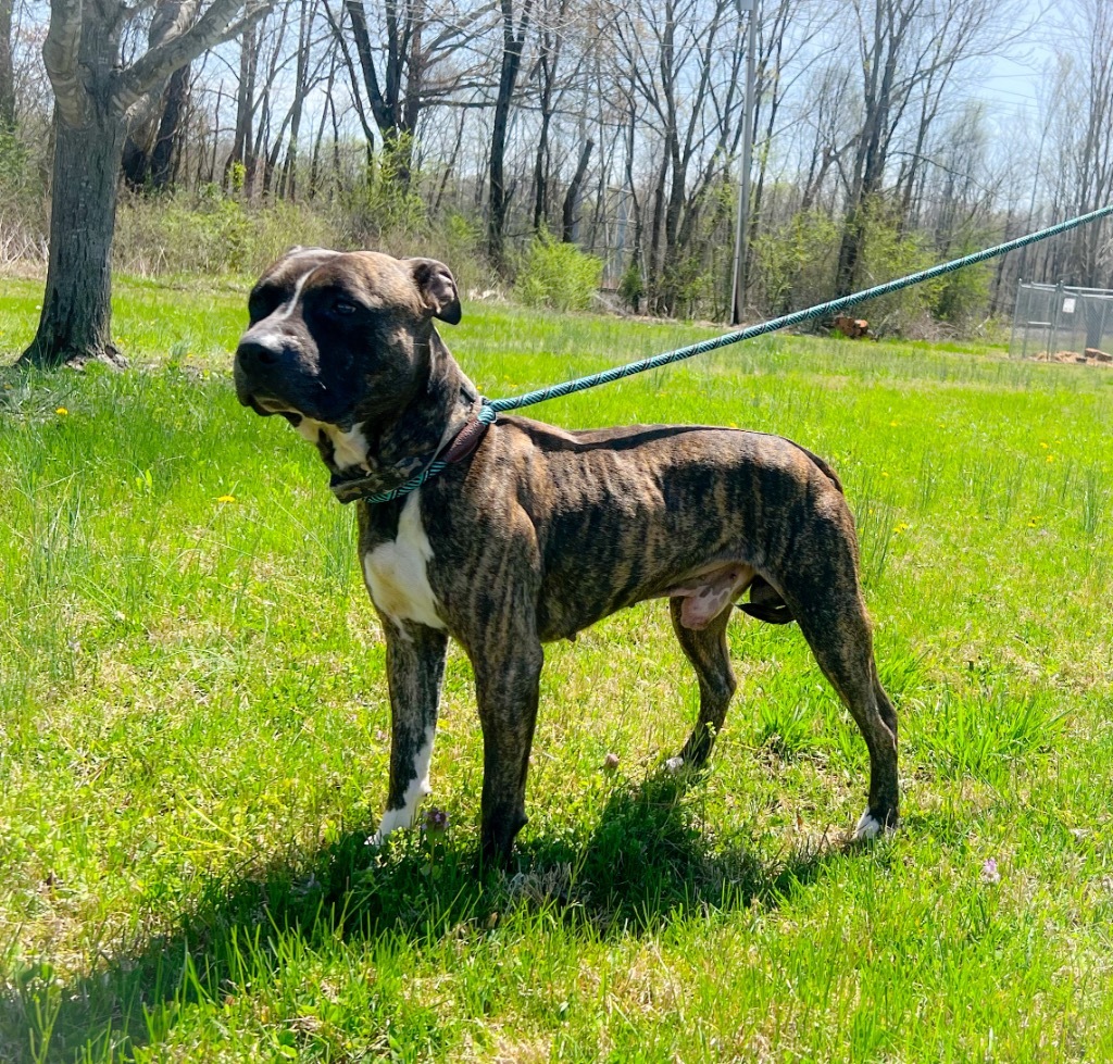 Zeus