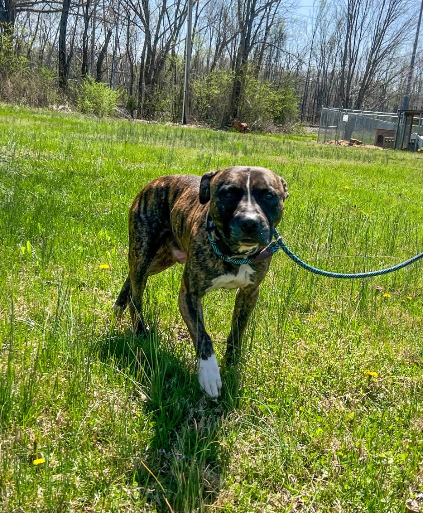 Zeus