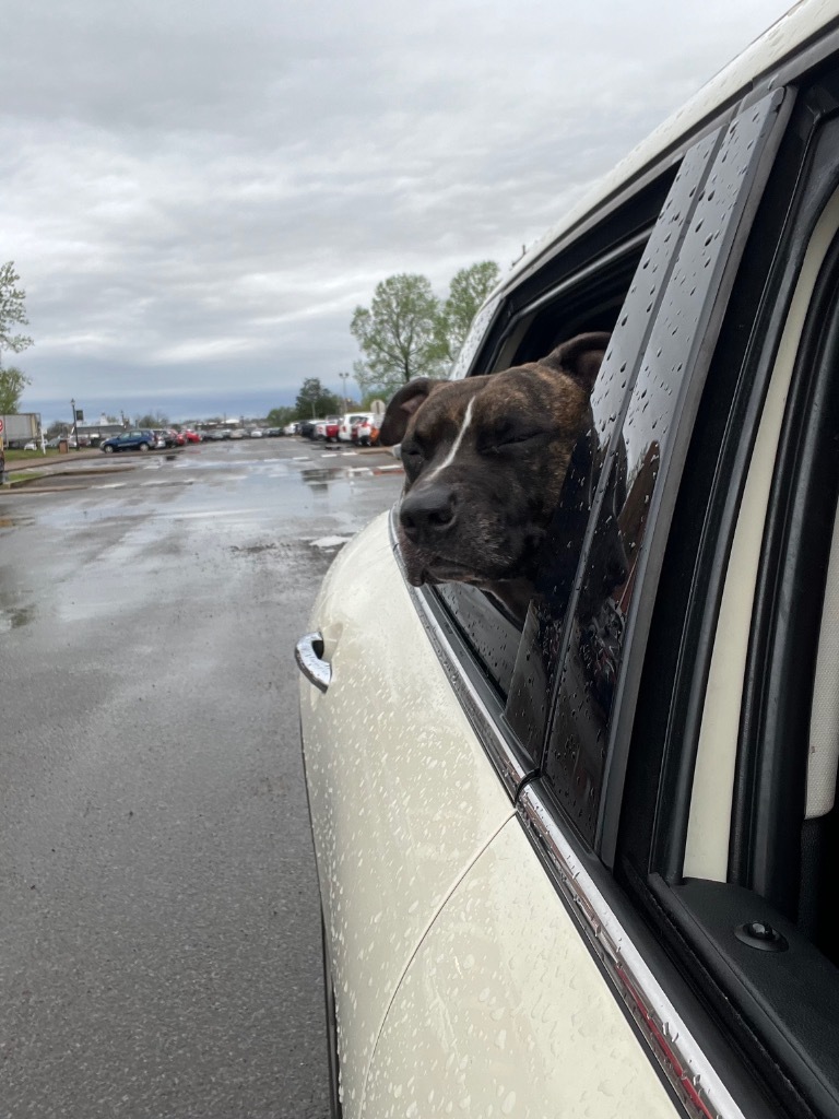 Zeus